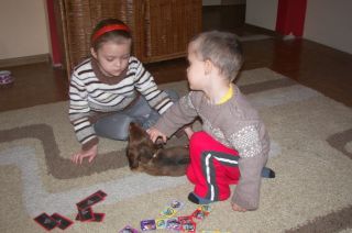 Jamnik d�ugow�osy NAILA